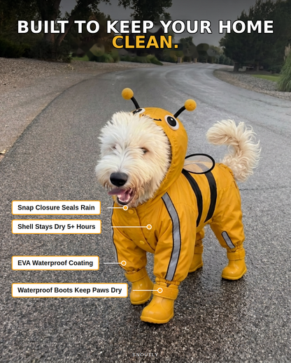 Bumblebee Rain Suit