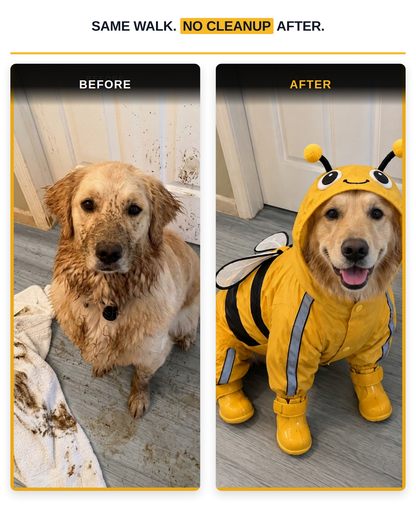 Bumblebee Rain Suit