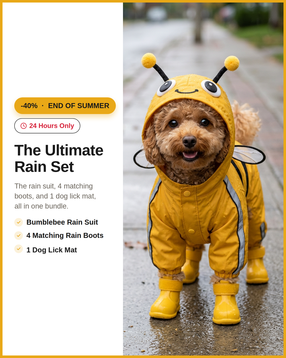 Bumblebee Rain Suit